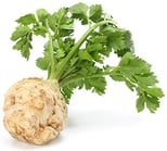 celery root 300x300