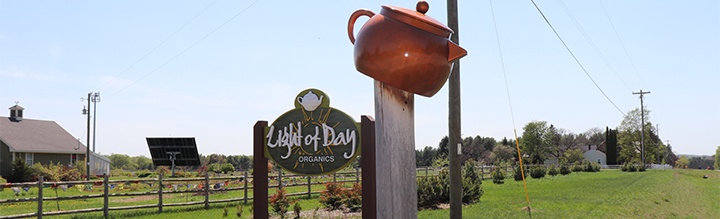 light of day organics sign