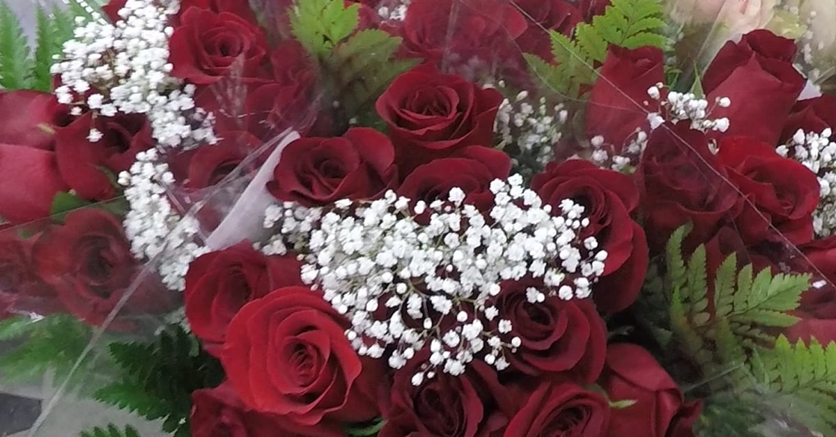 Close up view of red roses and baby's breath