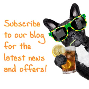 subscribe to our blog