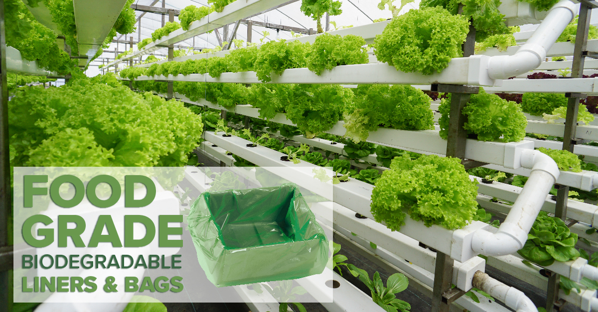hydroponic greens shown with biodegradable box liner